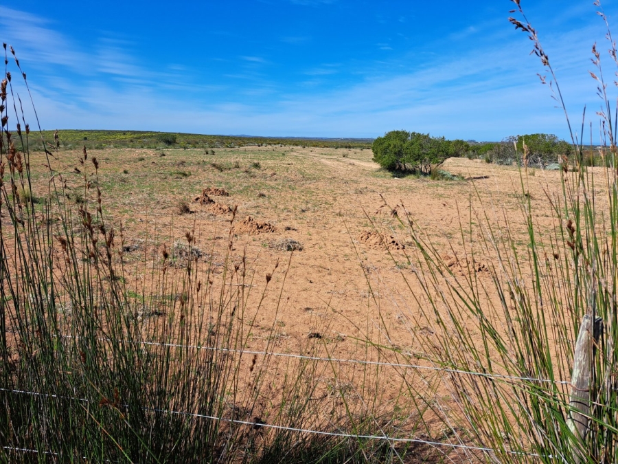 10 Bedroom Property for Sale in Stilbaai Rural Western Cape